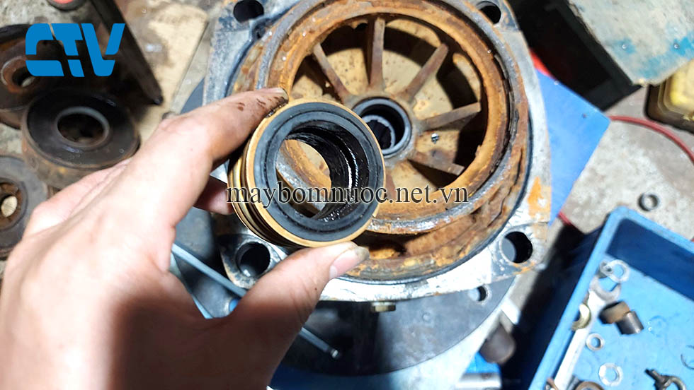 Cách lựa chọn phớt bơm công nghiệp thay thế