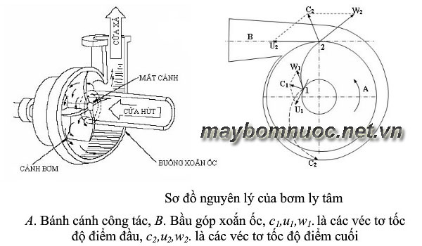 Tìm hiểu thông tin về máy bơm nước ly tâm