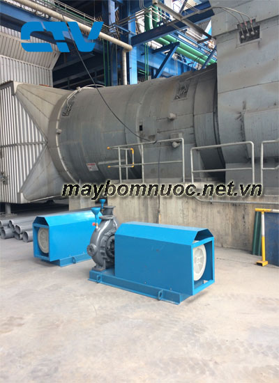 Cung cấp máy bơm công nghiệp Dragon chính hãng cho các khách hàng trên cả nước