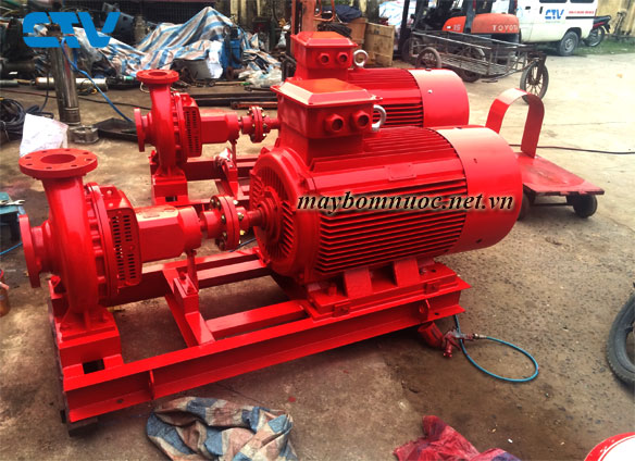 Cường Thịnh Vương-Đại lý phân phối máy bơm nước chính hãng sỉ/lẻ toàn quốc