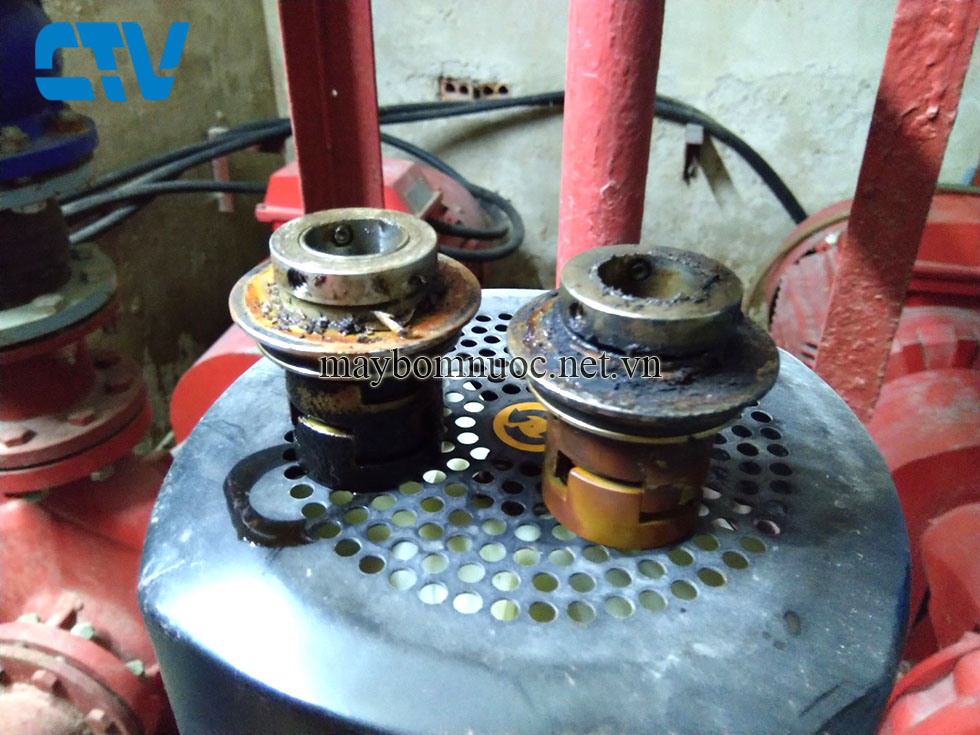 Cường Thịnh Vương thay phớt máy bơm trục đứng Teral chất lượng, giá rẻ nhất