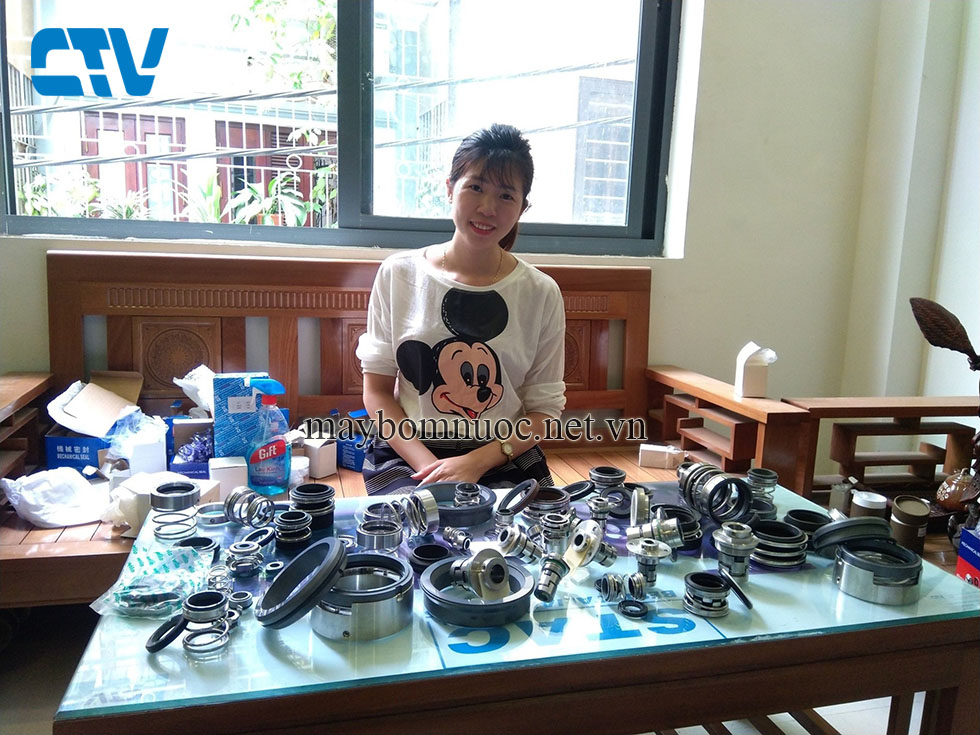 Phớt máy bơm nước chính hãng, giá rẻ tại Hà Nội