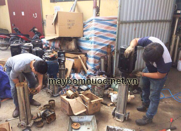 Sửa máy bơm nước trục đứng nhanh chóng, giá rẻ tại Cường Thịnh Vương