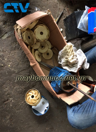 Thay cánh máy bơm nước Pentax bị hỏng
