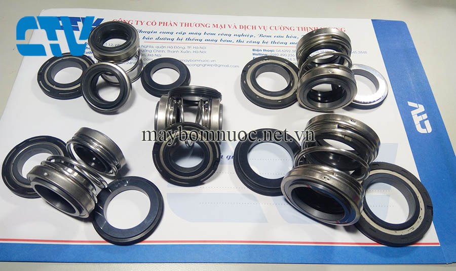 Thay phớt máy bơm chìm Hà Nội uy tín, giá rẻ nhất