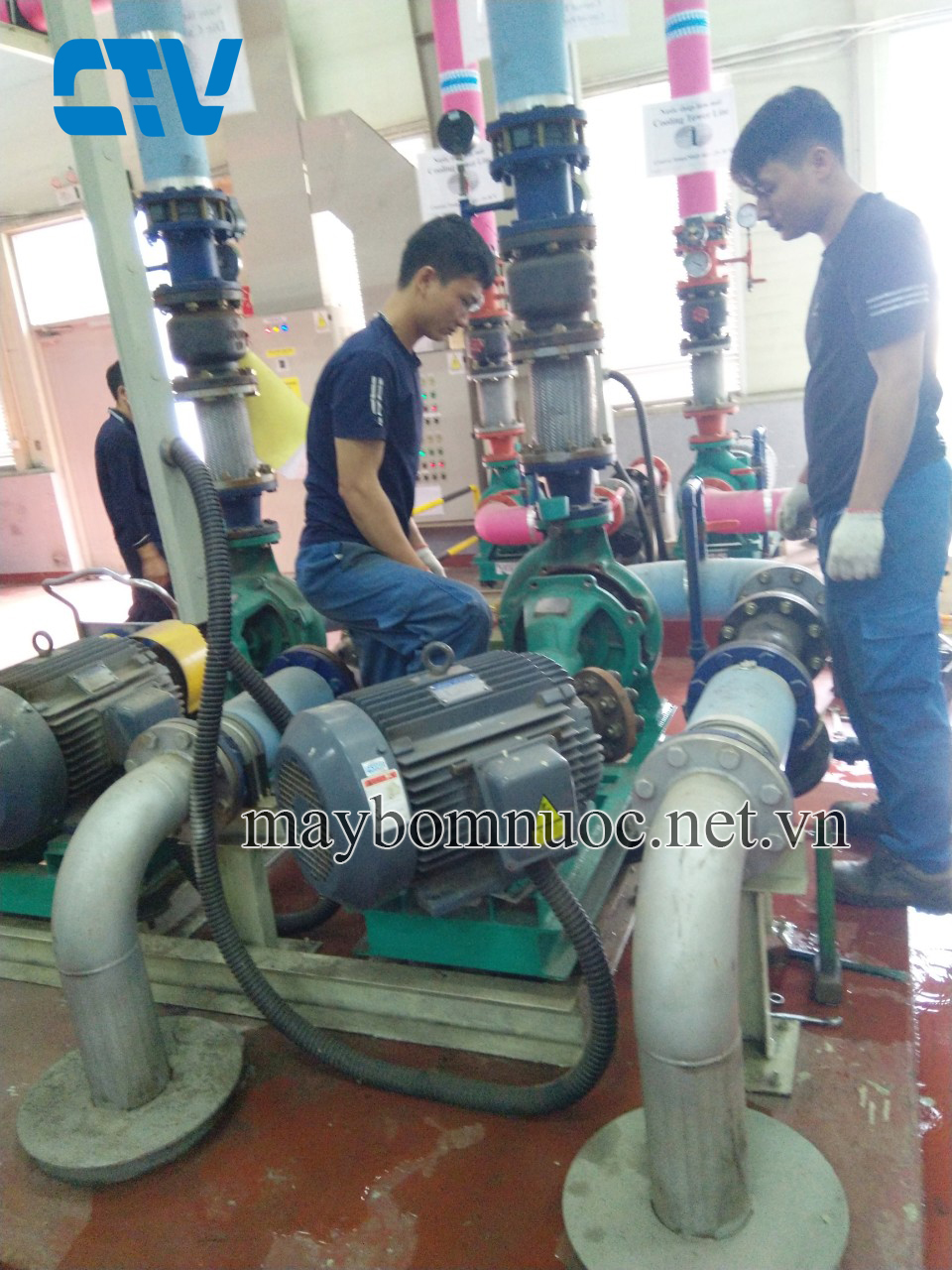 Thay phớt máy bơm công nghiệp cho các dự án trên Toàn quốc