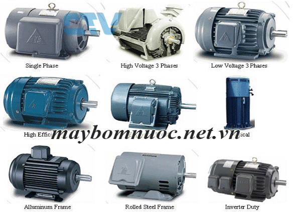 Động cơ máy bơm nước Teco