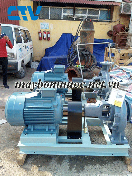 Dịch vụ cho thuê máy bơm trục rời tại Cường Thịnh Vương