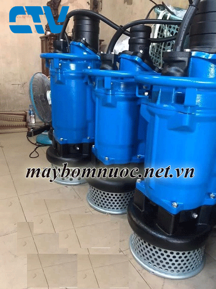 Cường Thịnh Vương cho thuê máy bơm chìm Tsurumi KTZ