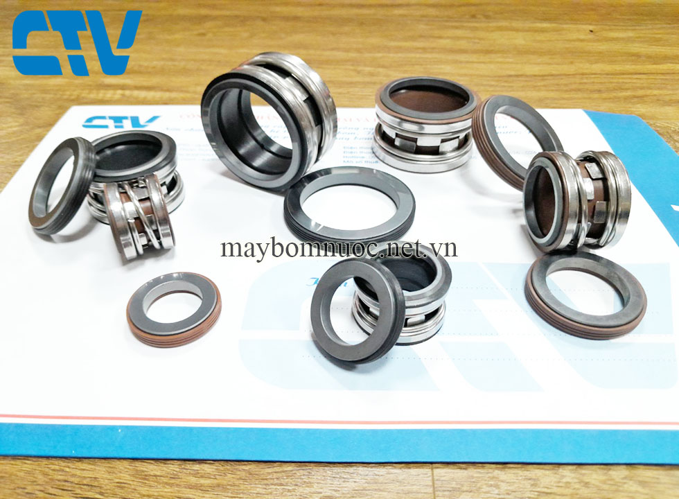 Phớt máy bơm trục ngang Ebara, Teral 2100-38