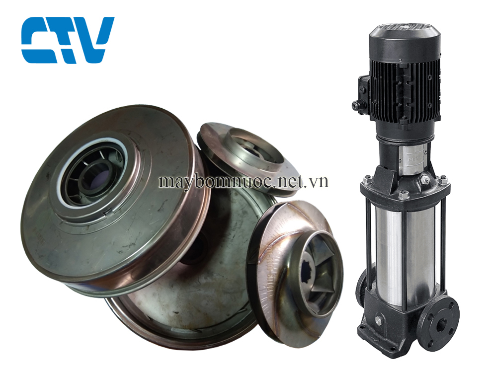 Ruột buồng bơm Ebara EVMSG20 10F5 (Phụ kiện máy bơm)